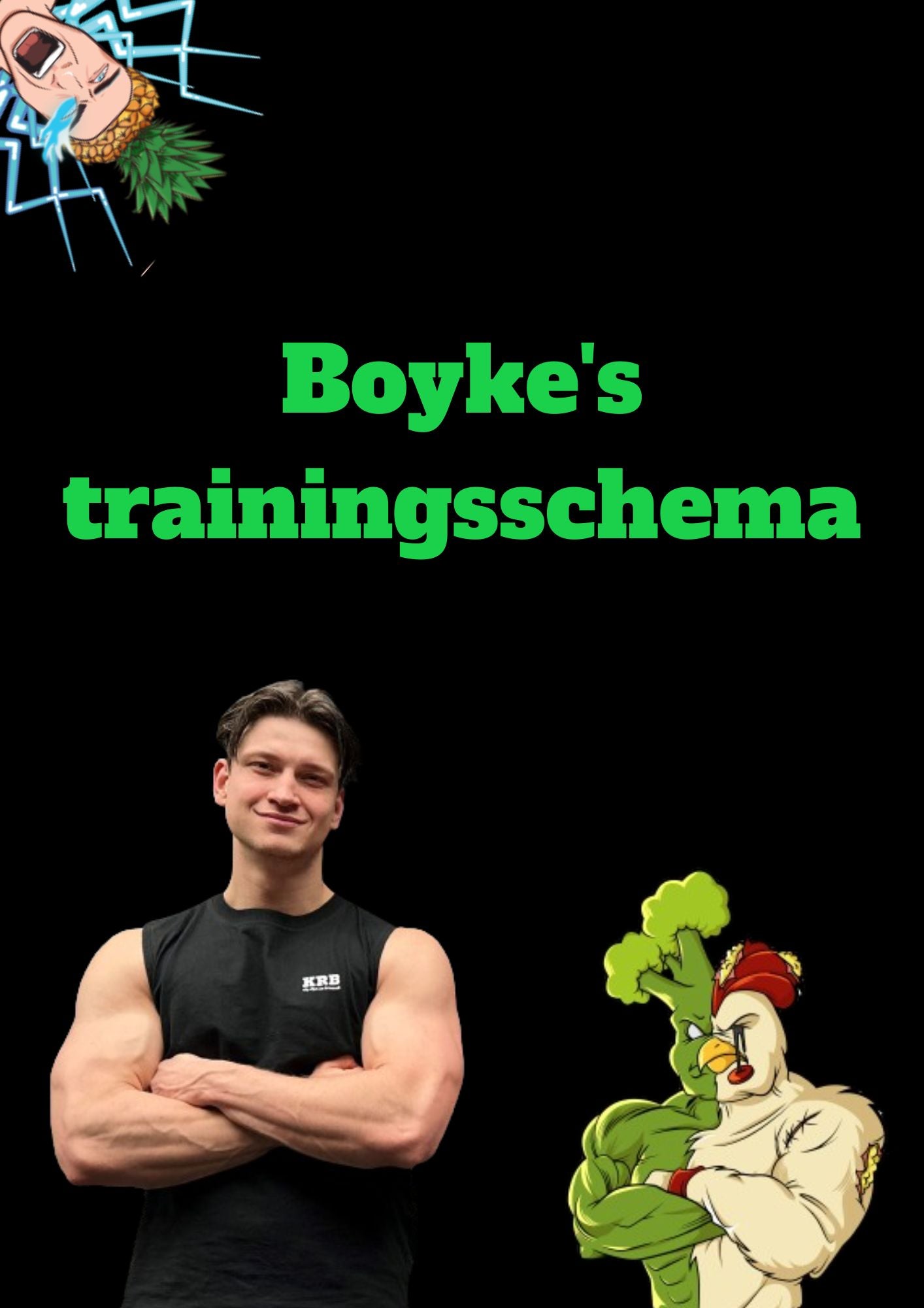 Boyke's trainingsschema